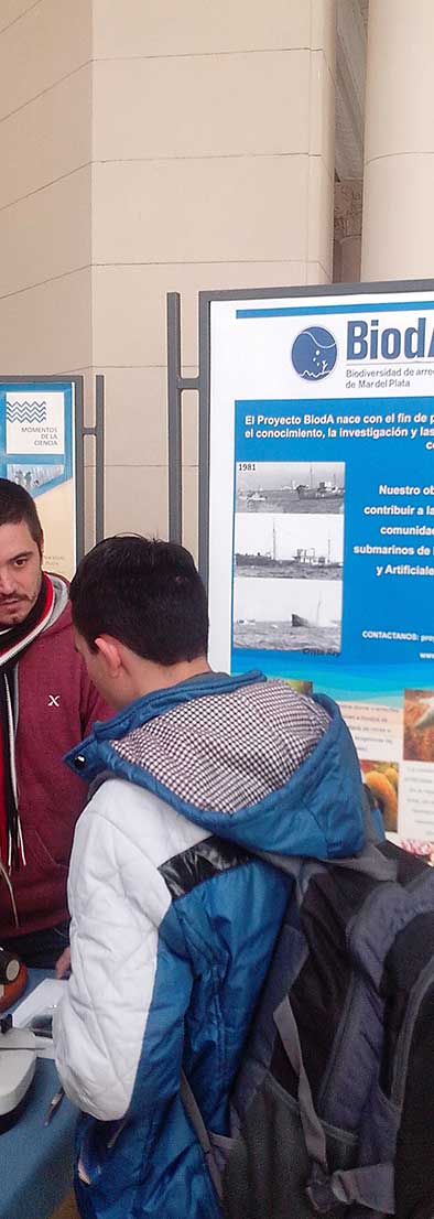 bioda-presentacion